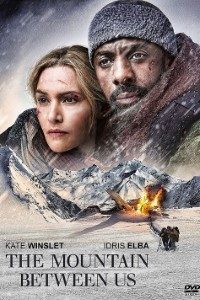 Download The Mountain Between Us (2017) {Hindi-English} 480p [350MB] || 720p [1.1GB]