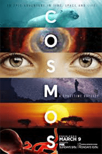 Download Cosmos: A Spacetime Odyssey (Season 1) {Hindi Dubbed} WeB-HD  720p [400MB]