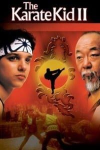 Download The Karate Kid Part II (1986) Dual Audio {Hindi-English} 720p [900MB]