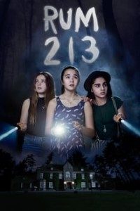 Download Rum 213 (2017) Dual Audio Hindi BluRay {English With Subtitles} 480p [250MB] || 720p [800MB]