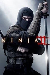 Download Ninja: Shadow of a Tear (2013) Dual Audio (Hindi-English) 480p [300MB] || 720p [1GB]