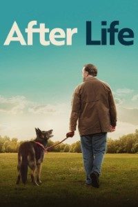 Download After Life 2019 (Season 1-3) {English With Subtitles} 720p [150MB]