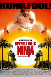 Download Beverly Hills Ninja (1997)  Dual Audio (Hindi-English) Esubs Bluray 480p [300MB] || 720p [850MB]