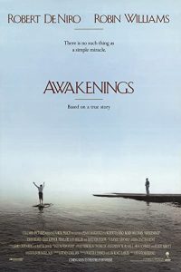 Download Awakenings (1990)  Dual Audio {Hindi-English} WeB-DL HD 480p [400MB] || 720p [1GB] || 1080p [2.4GB]