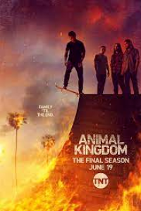 Download Animal Kingdom (Season 1-6) WeB-HD {English With Subtitles} 720p [350MB] || 1080p [1.1GB]