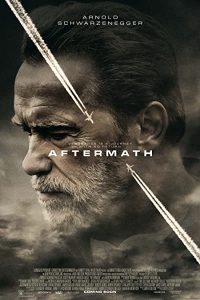 Download Aftermath (2017) Dual Audio {Hindi-English} BluRay ESubs 480p [310MB] || 720p [850MB] || 1080p [1.9GB]