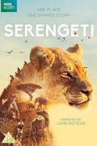 Download Serengeti (Season 1) {English With Subtitles} WeB-DL 720p [470MB] || 1080p [1.3GB]