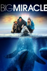 Download Big Miracle (2012) Dual Audio {Hindi-English} WEB-DL ESubs 480p [370MB] || 720p [1GB] || 1080p [2.3GB]