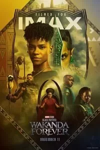 Download Black Panther: Wakanda Forever (2022) Dual Audio {Hindi-English} IMAX WeB-DL 480p [500MB] || 720p [1.4GB] || 1080p [3.5GB]