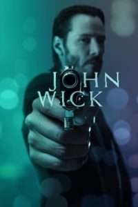 Download John Wick (2014) Dual Audio {Hindi-English} Bluray 480p [300MB] || 720p [900MB] || 1080p [2.5GB]