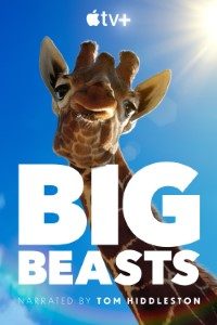 Download Big Beasts (Season 1) [S01E02 Added] {English With Subtitles} WeB-HD 720p [250MB] || 1080p [600MB]