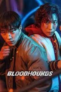 Download Bloodhounds (Season 1) Multi Audio {Hindi-English-Korean} WeB-DL 480p [200MB] || 720p [350MB] || 1080p [1.2GB]