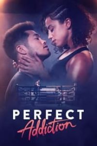 Download Perfect Addiction (2023) Dual Audio {Hindi-English} BluRay 480p [310MB] || 720p [870MB] || 1080p [2GB]