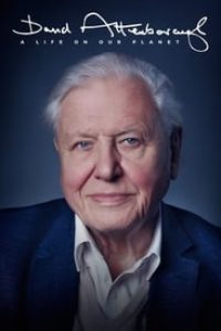 Download NetFlix David Attenborough: A Life on Our Planet (2020) {English With Subtitles} Web-Rip 480p [400MB] || 720p [800MB] || 1080p [1.3GB]