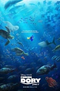 Download Finding Dory (2016) Dual Audio {Hindi-English} Msubs Bluray 480p [350MB] || 720p [900MB] || 1080p [2.1GB]