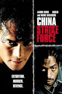 Download China Strike Force (2000) Dual Audio [HINDI & ENGLISH] BluRay 480p [300MB] || 720p [1.1GB] || 1080p [1.6GB]