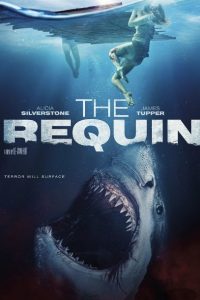 Download The Requin (2022) Dual Audio [Hindi & English] BluRay 480p [320MB] || 720p [887MB] || 1080p [1.5GB]